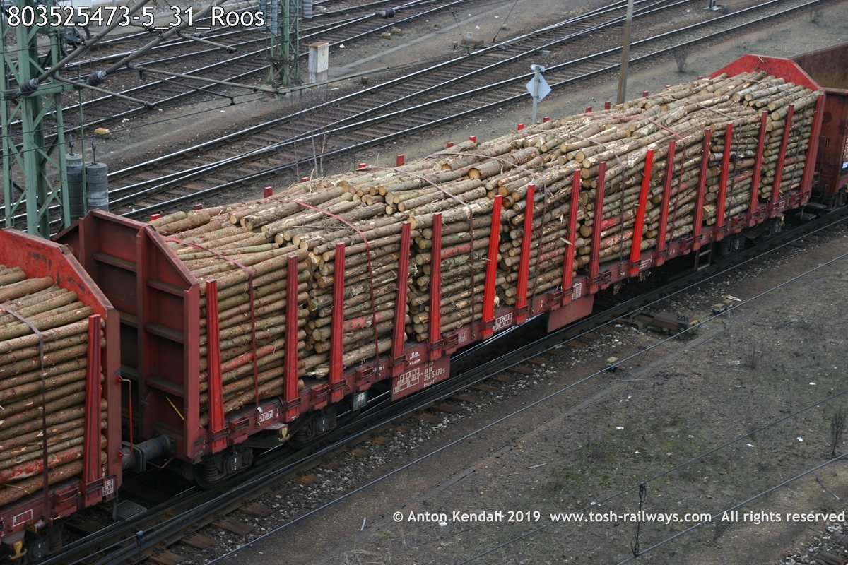 803525473-5_31_Roos.jpg